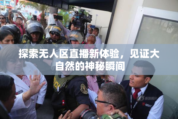 探索无人区直播新体验，见证大自然的神秘瞬间