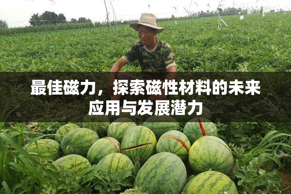 最佳磁力，探索磁性材料的未来应用与发展潜力
