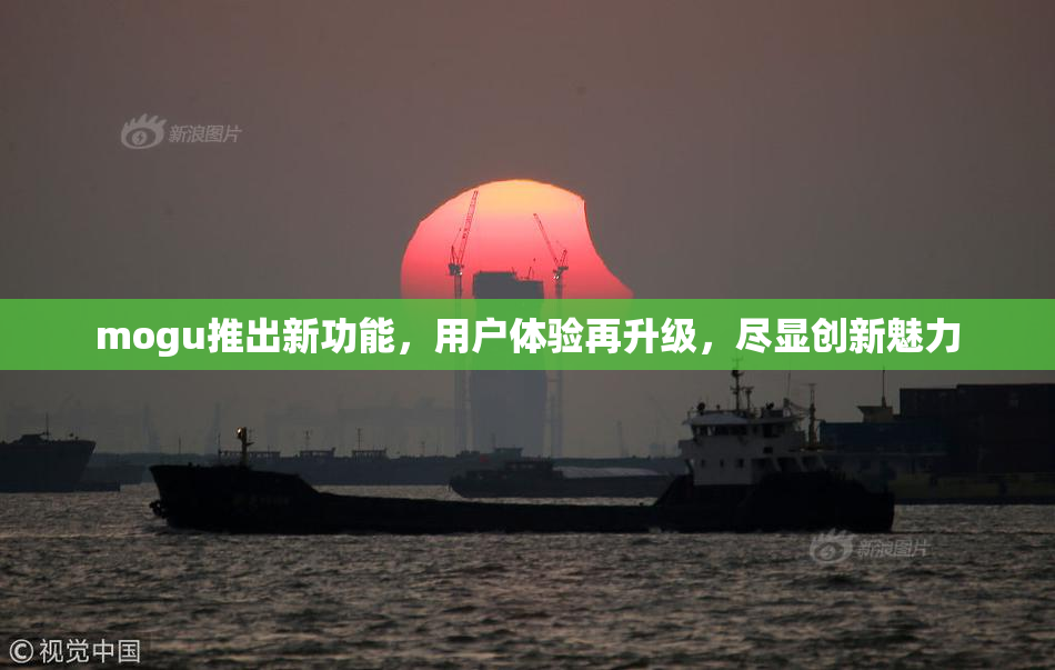 mogu推出新功能，用户体验再升级，尽显创新魅力