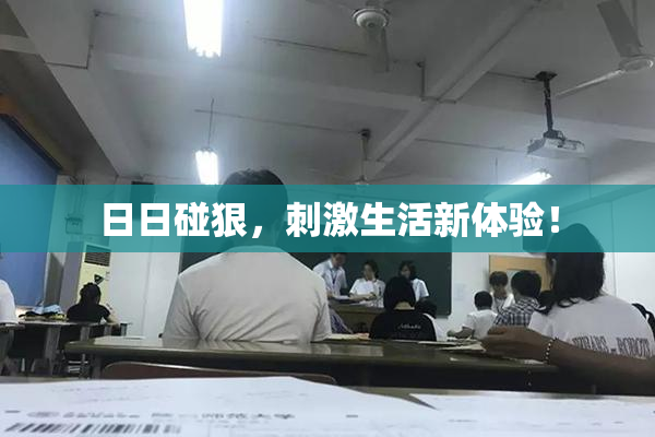 日日碰狠，刺激生活新体验！