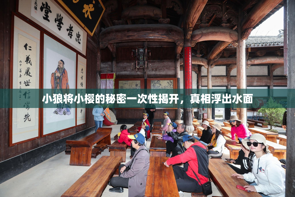 小狼将小樱的秘密一次性揭开，真相浮出水面