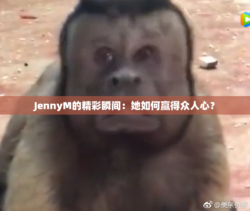 JennyM的精彩瞬间：她如何赢得众人心？