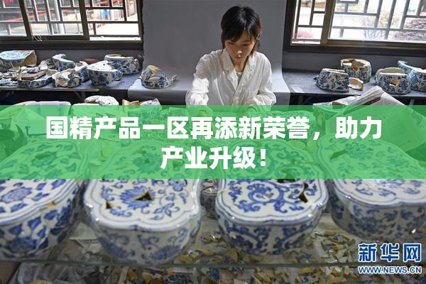 国精产品一区再添新荣誉，助力产业升级！