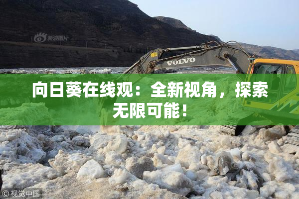 向日葵在线观：全新视角，探索无限可能！