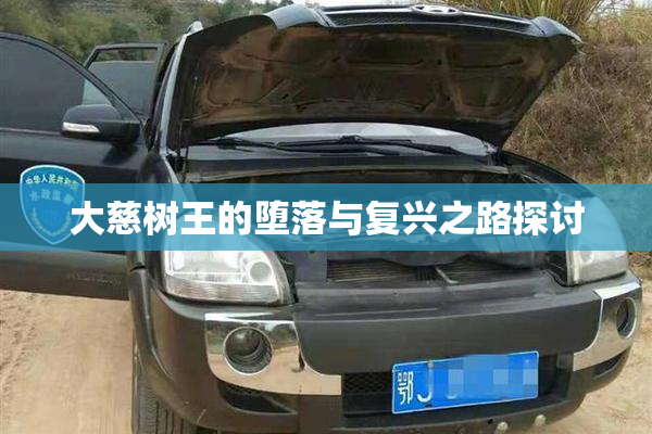 大慈树王的堕落与复兴之路探讨