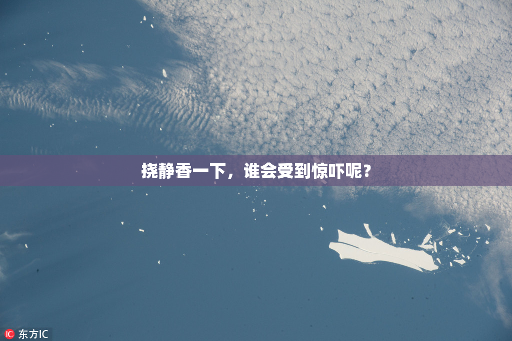 挠静香一下，谁会受到惊吓呢？