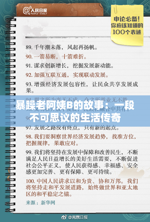 暴躁老阿姨B的故事：一段不可思议的生活传奇