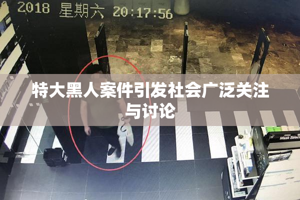 特大黑人案件引发社会广泛关注与讨论