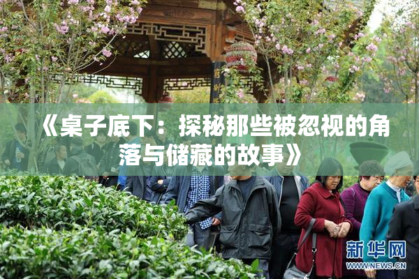 《桌子底下：探秘那些被忽视的角落与储藏的故事》