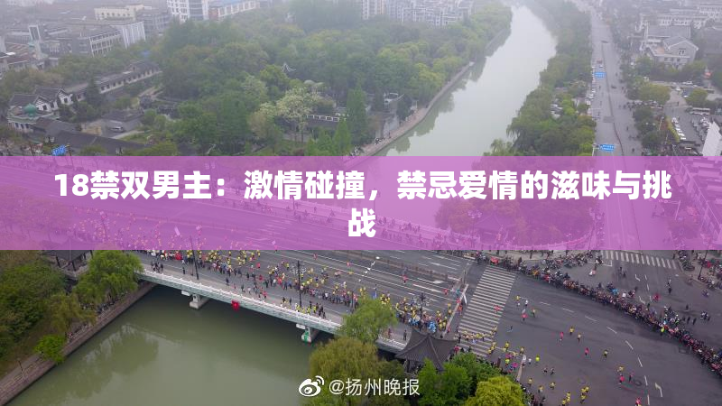 18禁双男主：激情碰撞，禁忌爱情的滋味与挑战