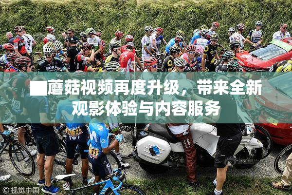 ▇蘑菇视频再度升级，带来全新观影体验与内容服务