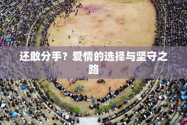 还敢分手？爱情的选择与坚守之路