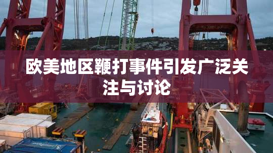 欧美地区鞭打事件引发广泛关注与讨论