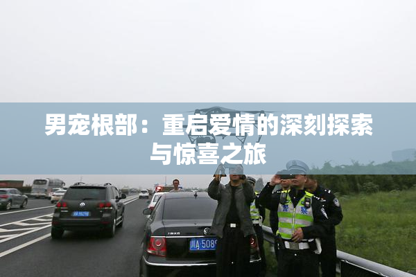 男宠根部：重启爱情的深刻探索与惊喜之旅