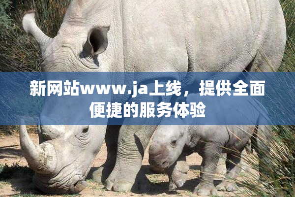 新网站www.ja上线，提供全面便捷的服务体验