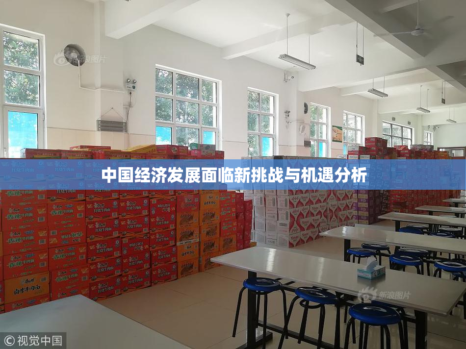 中国经济发展面临新挑战与机遇分析