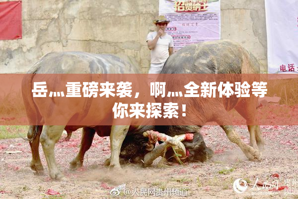 岳灬重磅来袭，啊灬全新体验等你来探索！