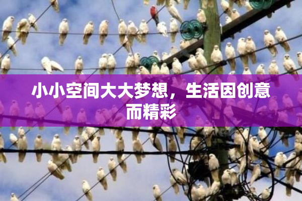 小小空间大大梦想，生活因创意而精彩