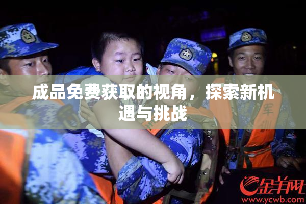 成品免费获取的视角，探索新机遇与挑战
