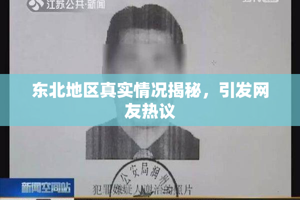 东北地区真实情况揭秘，引发网友热议