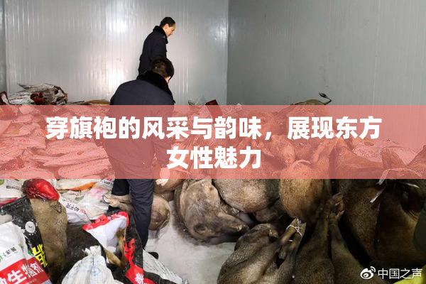 穿旗袍的风采与韵味，展现东方女性魅力