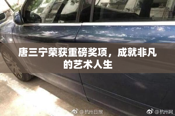 唐三宁荣获重磅奖项，成就非凡的艺术人生