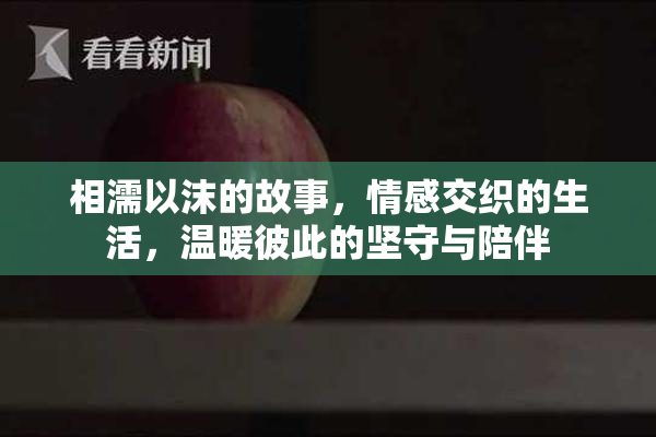 相濡以沫的故事，情感交织的生活，温暖彼此的坚守与陪伴
