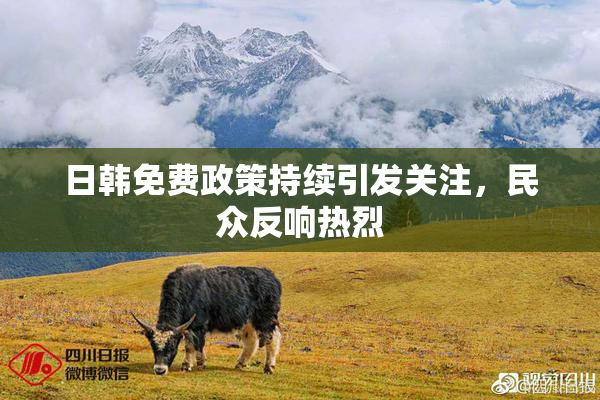 日韩免费政策持续引发关注，民众反响热烈