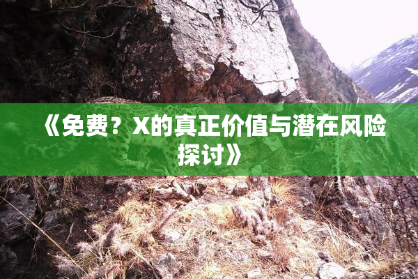 《免费？X的真正价值与潜在风险探讨》