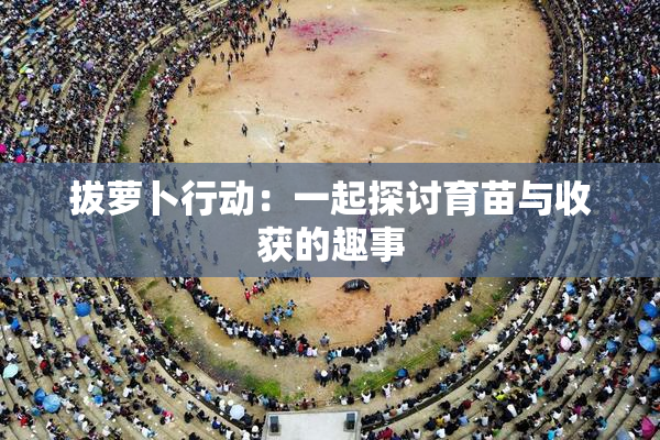 拔萝卜行动：一起探讨育苗与收获的趣事