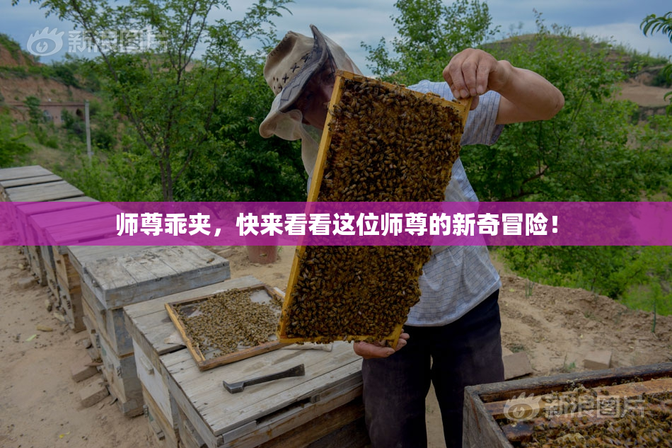 师尊乖夹，快来看看这位师尊的新奇冒险！