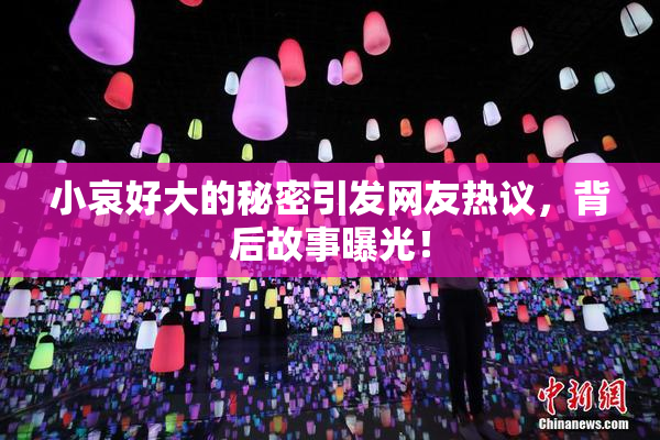 小哀好大的秘密引发网友热议，背后故事曝光！