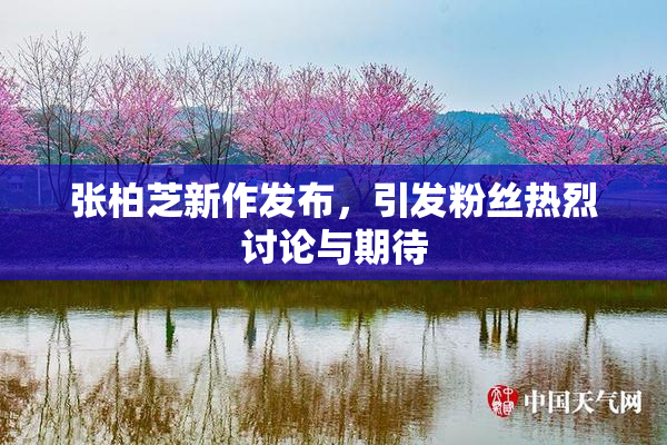 张柏芝新作发布，引发粉丝热烈讨论与期待