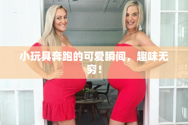 小玩具奔跑的可爱瞬间，趣味无穷！