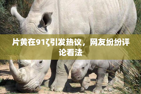 片黄在91ζ引发热议，网友纷纷评论看法