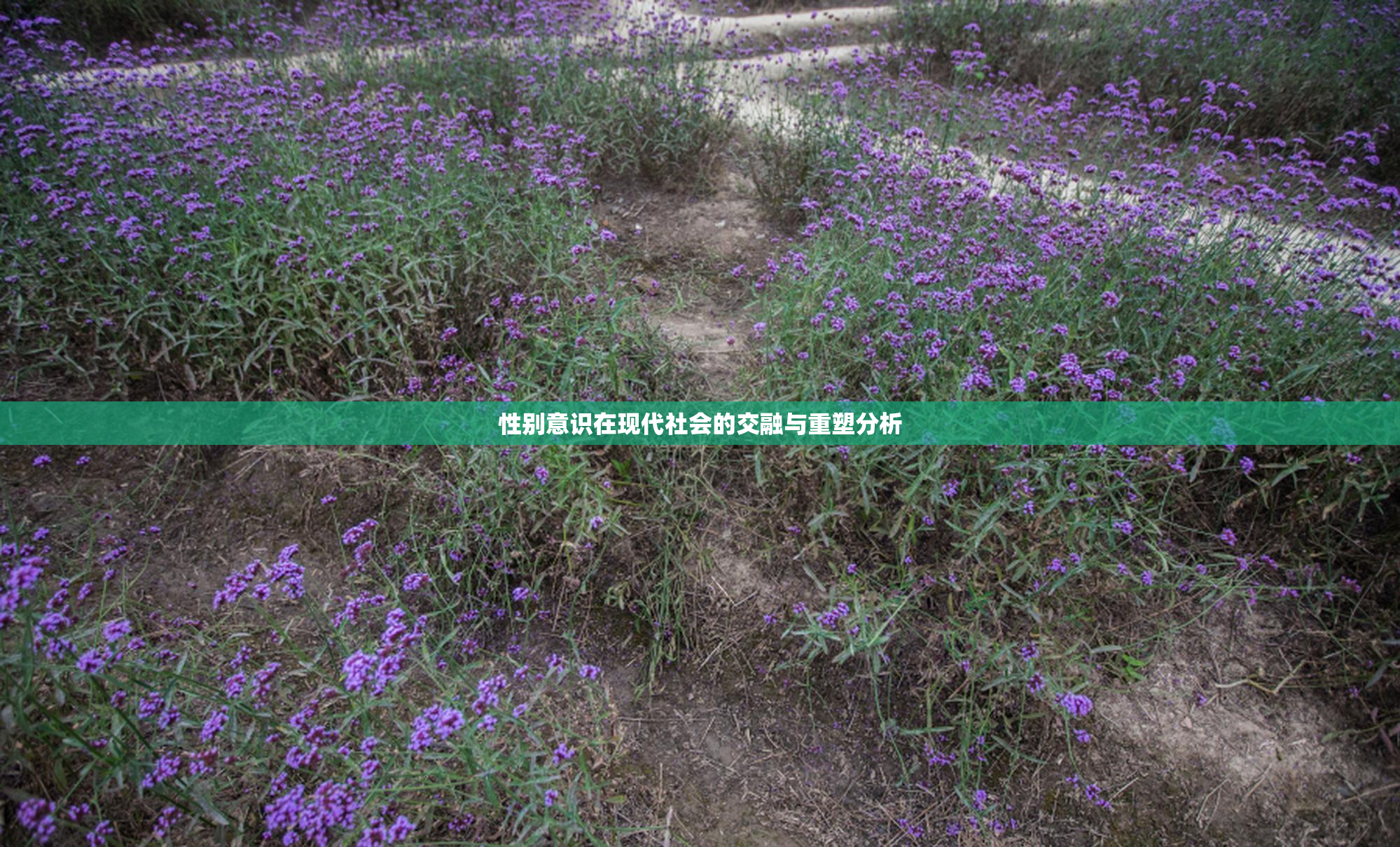 性别意识在现代社会的交融与重塑分析
