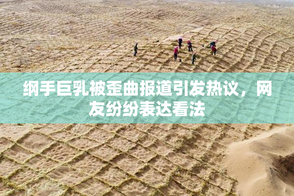 纲手巨乳被歪曲报道引发热议，网友纷纷表达看法