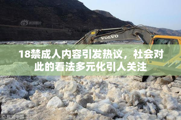 18禁成人内容引发热议，社会对此的看法多元化引人关注