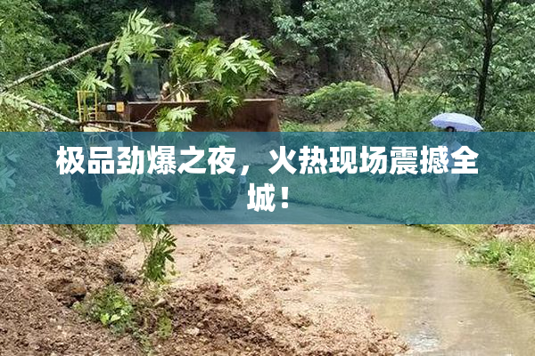 极品劲爆之夜，火热现场震撼全城！