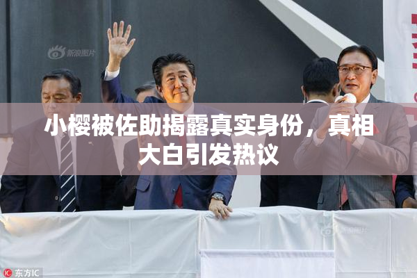 小樱被佐助揭露真实身份，真相大白引发热议