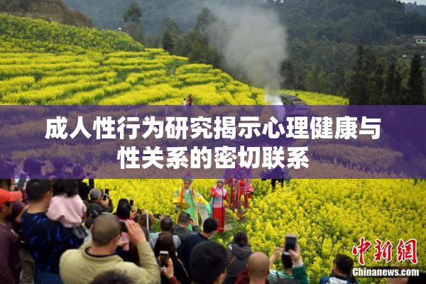 成人性行为研究揭示心理健康与性关系的密切联系