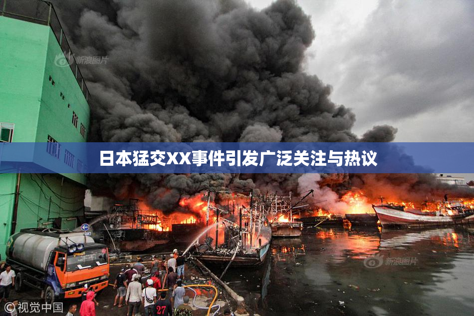 日本猛交XX事件引发广泛关注与热议