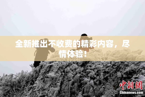 全新推出不收费的精彩内容，尽情体验！