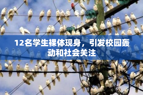 12名学生裸体现身，引发校园轰动和社会关注