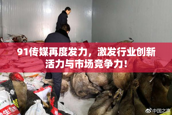 91传媒再度发力，激发行业创新活力与市场竞争力！