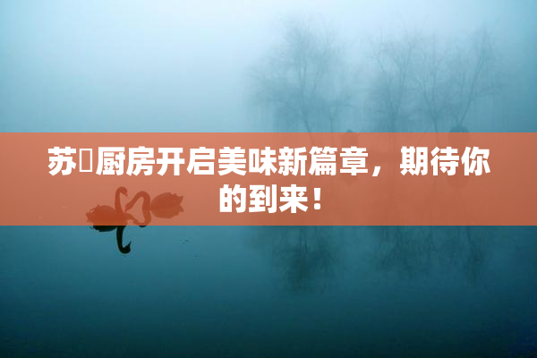 苏玥厨房开启美味新篇章，期待你的到来！