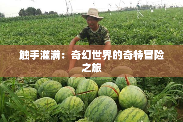 触手灌满：奇幻世界的奇特冒险之旅