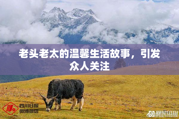 老头老太的温馨生活故事，引发众人关注