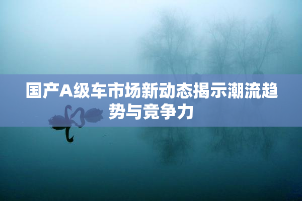 国产A级车市场新动态揭示潮流趋势与竞争力