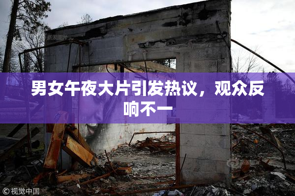 男女午夜大片引发热议，观众反响不一